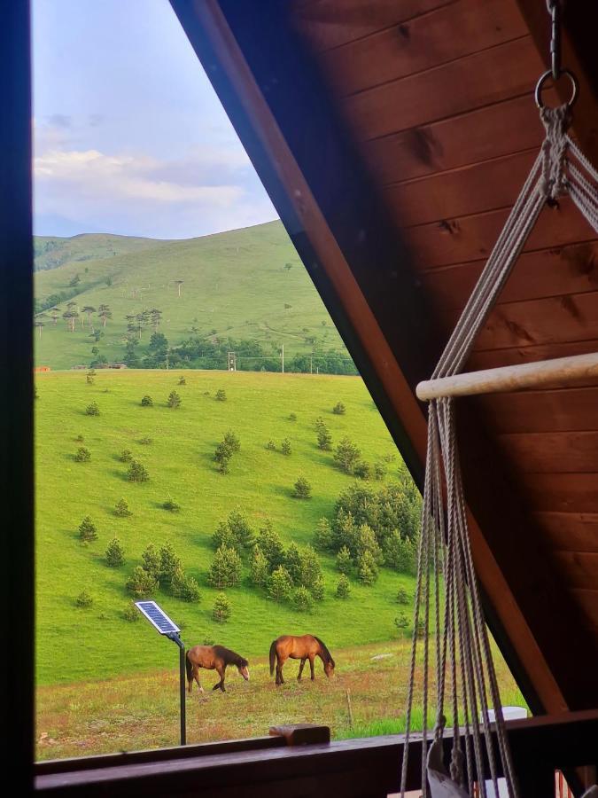 Villa Brvnara Cigota Zlatibor Esterno foto