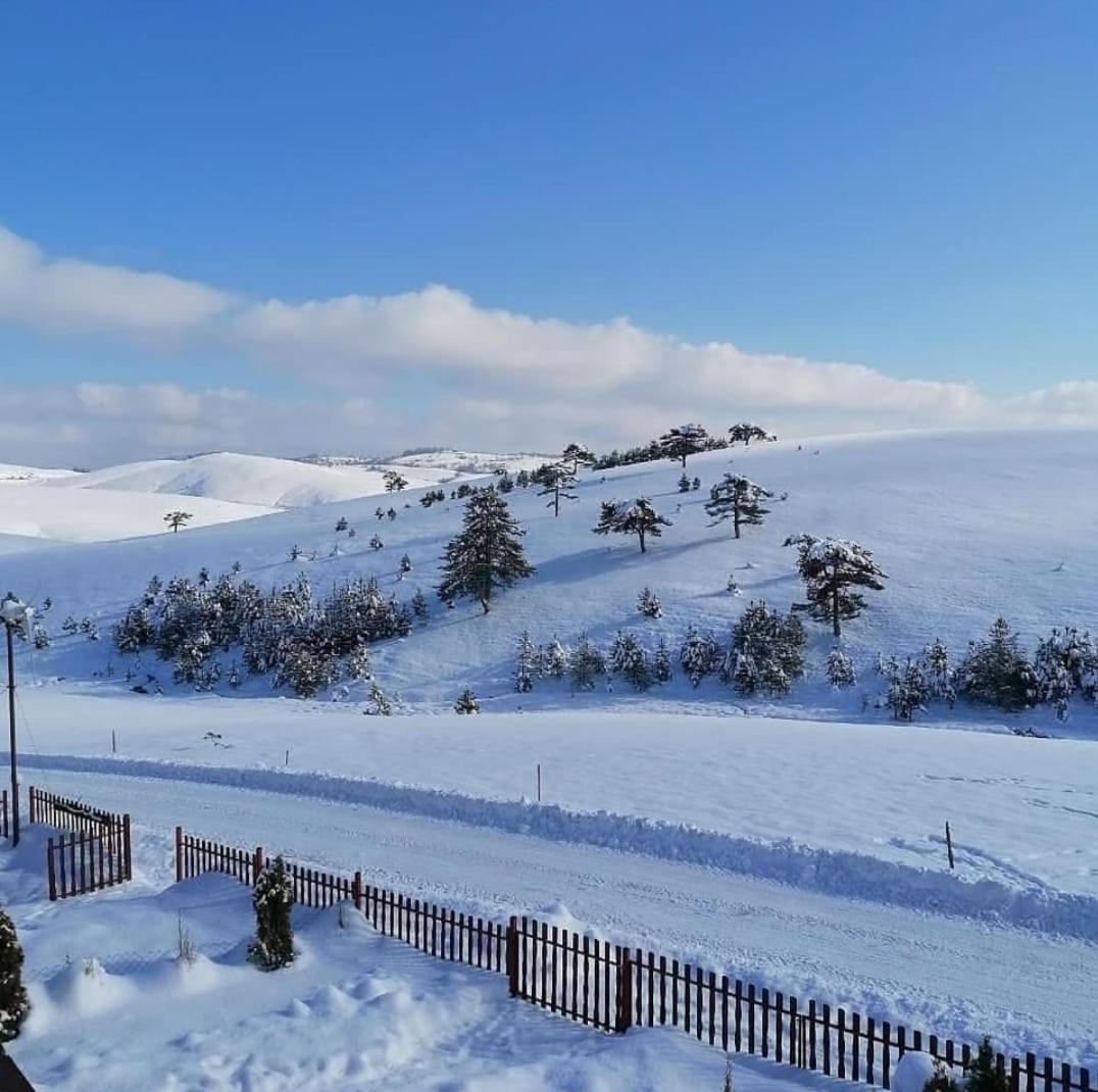 Villa Brvnara Cigota Zlatibor Esterno foto