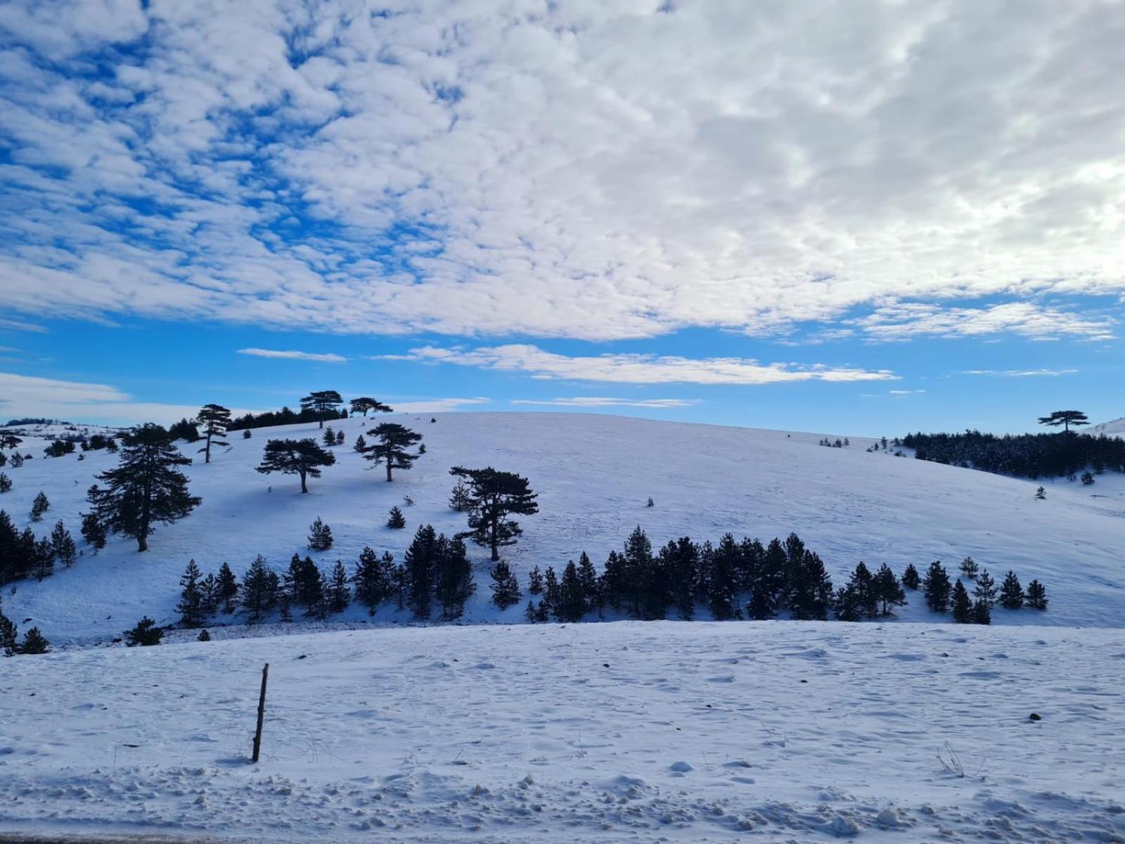 Villa Brvnara Cigota Zlatibor Esterno foto